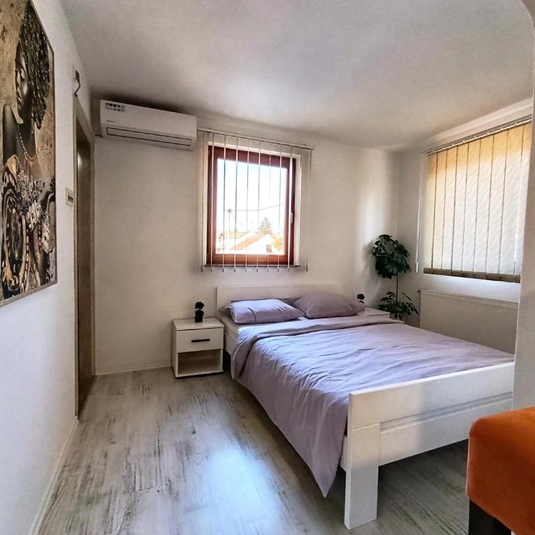 Abbazia Apartments Free Parking Near Center and Vrbas River - Apartman - 12