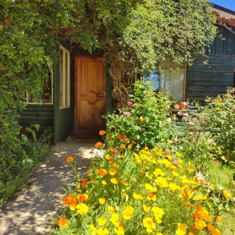 Guest Cabin - Casa con 1 dormitorio - 3