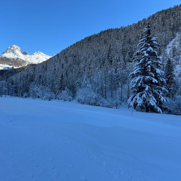 Grande Maison Du Coeur Champoluc Spa,Gym e Aree Relax - Two-Bedroom Apartment - 17
