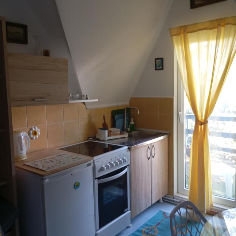 Petra Kuća Apartmani Studio Divčibare Петра Кућа Апартмани Студио Дивчибаре - Family Studio - 7