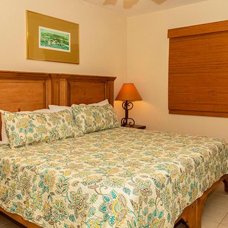Sonoran Spa E101 - Vacation Home - 2
