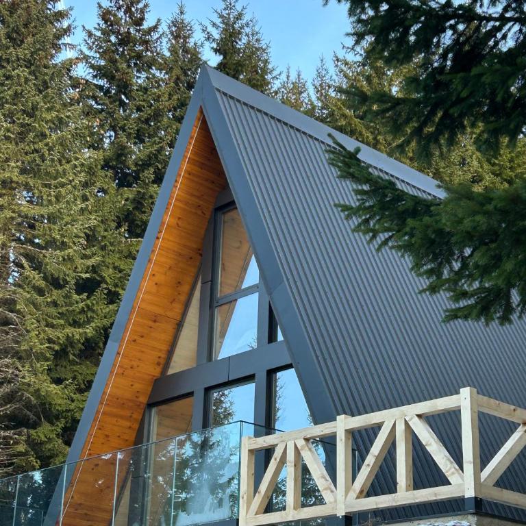 Tara mountain house Kopaonik - Two-Bedroom House - 12