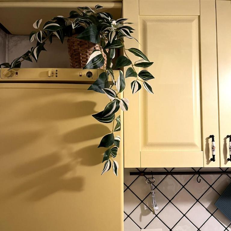 Lognina - One-Bedroom Apartment - 13