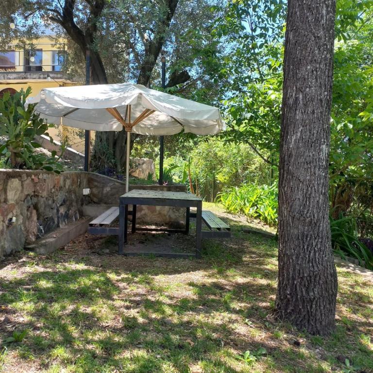 Tere & Tino Cabañas - Two-Bedroom Apartment - 15