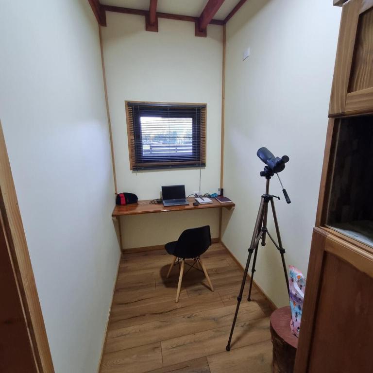 Cabaña en Panguipulli, lugar tranquilo - Two-Bedroom Apartment - 20