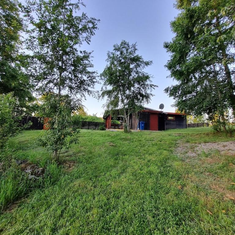 Cabaña en Panguipulli, lugar tranquilo - Two-Bedroom Apartment - 24