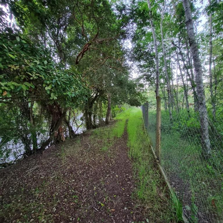 Cabaña en Panguipulli, lugar tranquilo - Two-Bedroom Apartment - 27