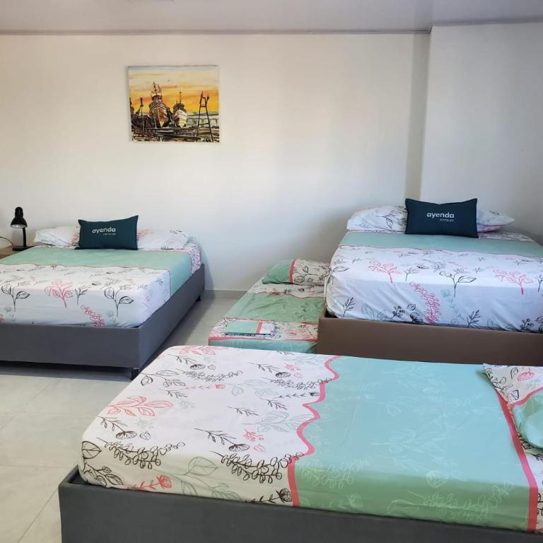 Suite hm caribe - Family Room - 5