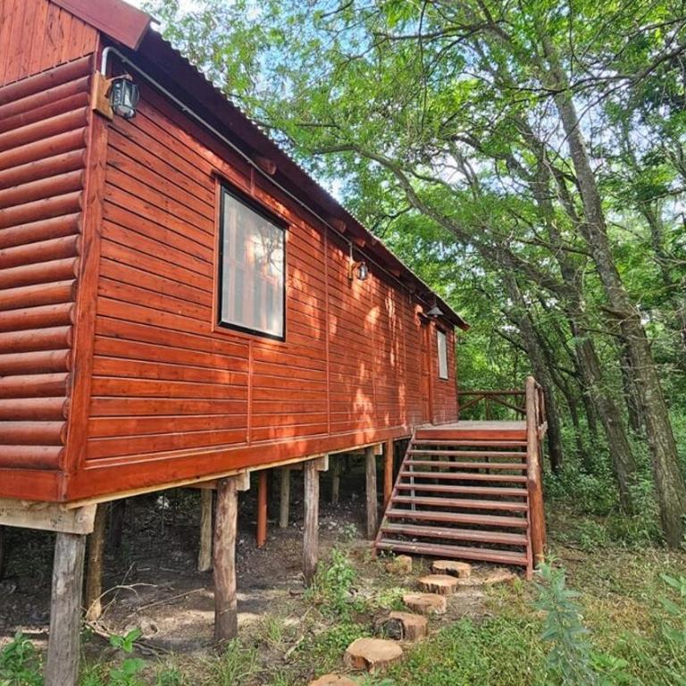 Cabaña Natural Del Bosque - One-Bedroom House - 6