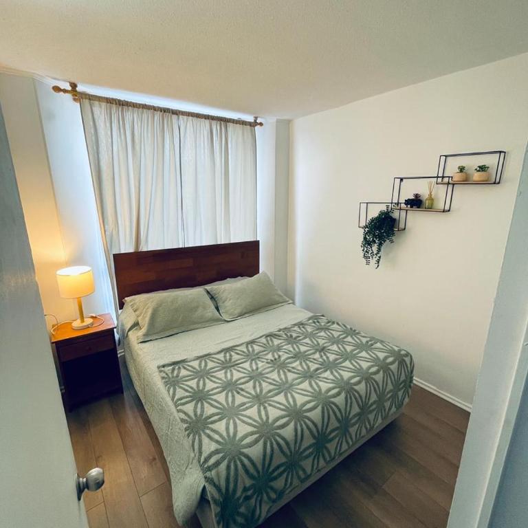 Magno 206 - Three-Bedroom Apartment - 5