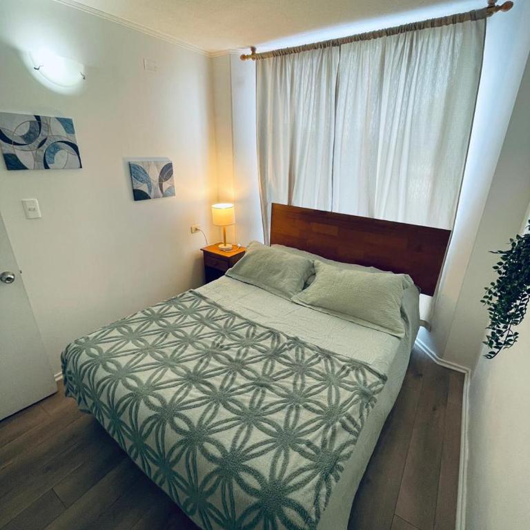 Magno 206 - Three-Bedroom Apartment - 6