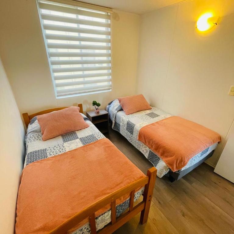 Magno 206 - Three-Bedroom Apartment - 8