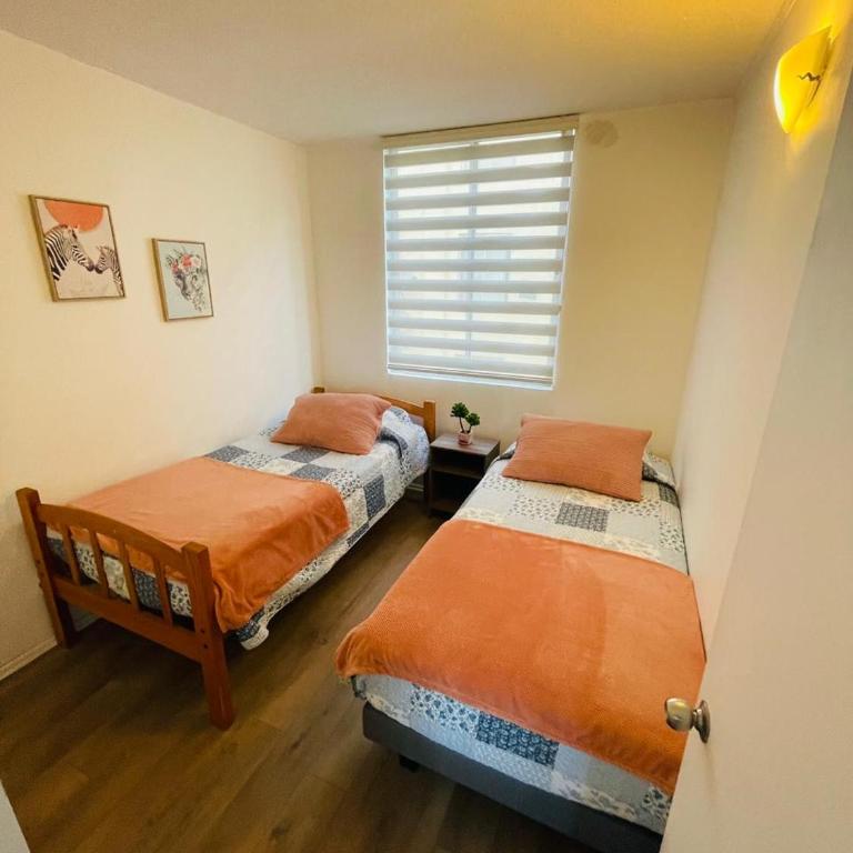 Magno 206 - Three-Bedroom Apartment - 7