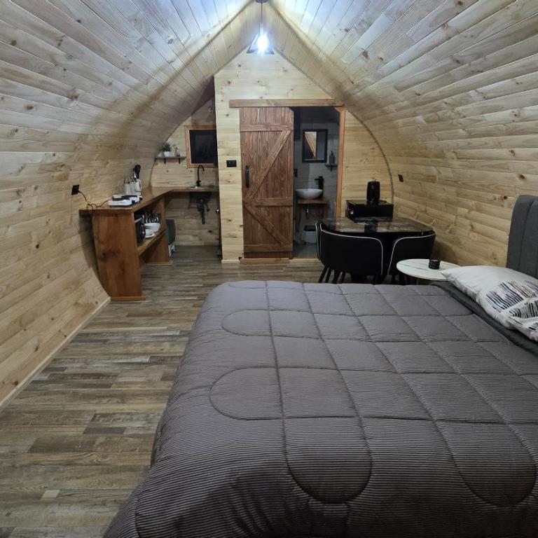 Tiny House - One-Bedroom Apartment - 5