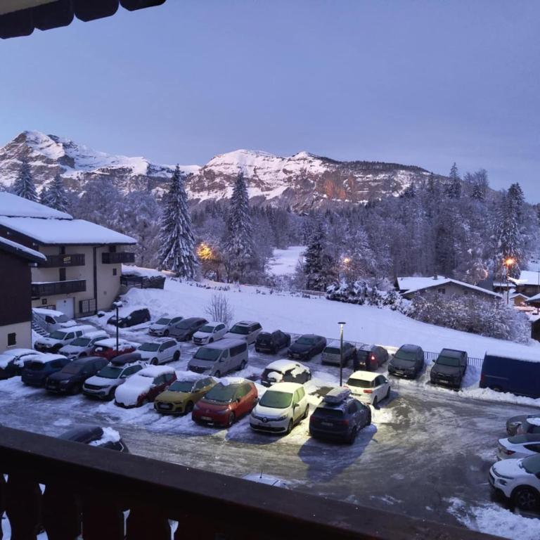 Appartement Les Carroz d'Araches 4 à 6 couchages, vue sur montagne - Appartamento con 2 Camere da Letto - 1