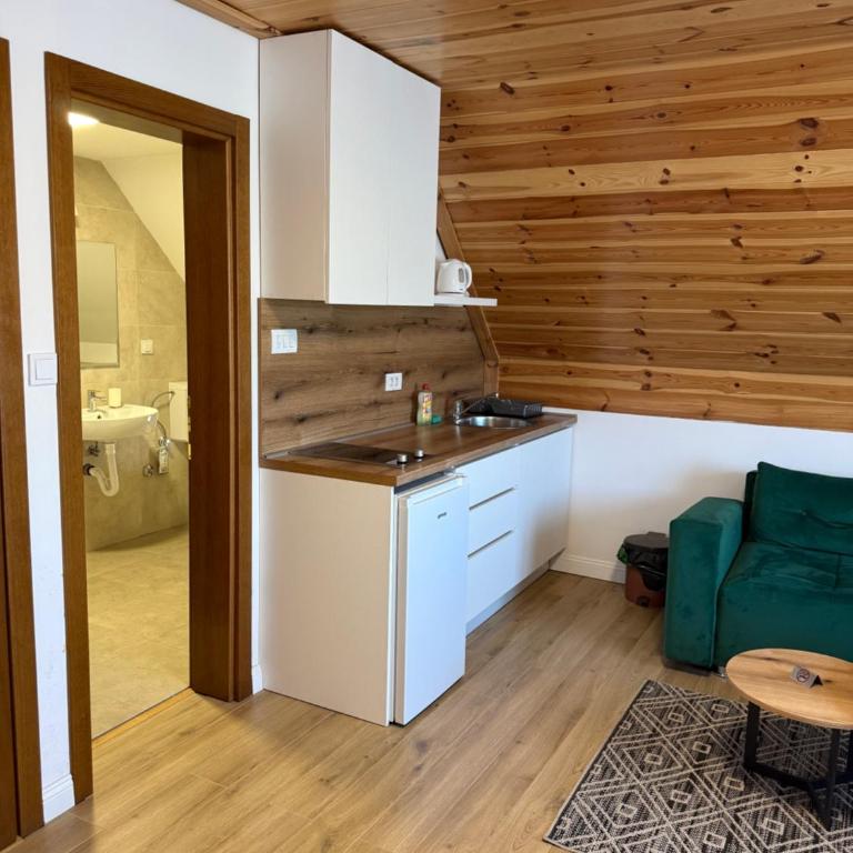 View of Durmitor - Apartment with Garden View - 3