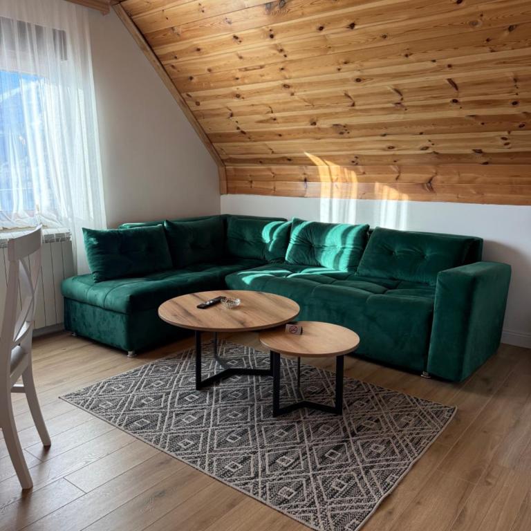 View of Durmitor - Apartment with Mountain View - 4