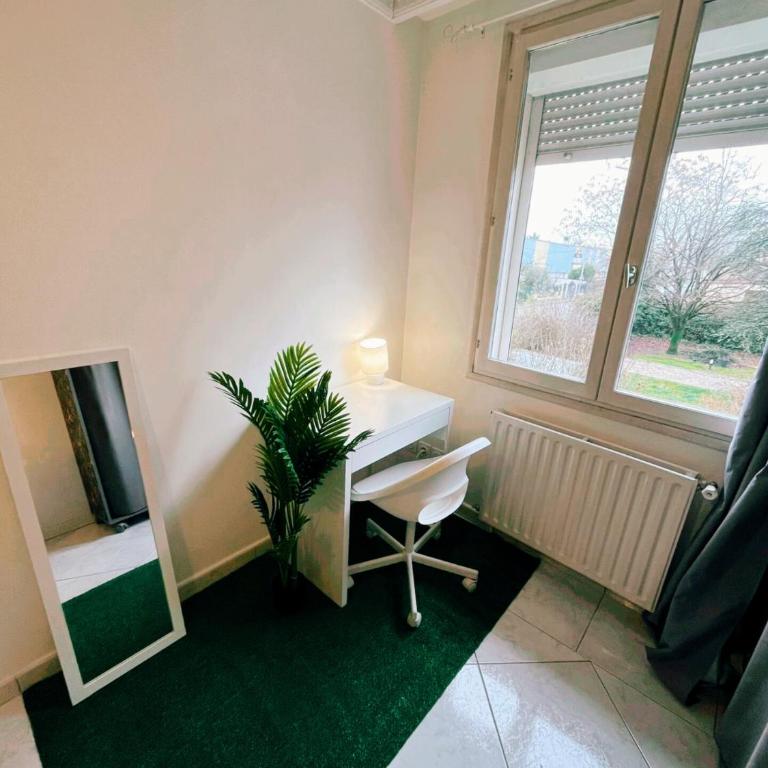 Colocation maison - Villeurbanne près de Lyon - Camera Matrimoniale con Bagno in Comune - 13