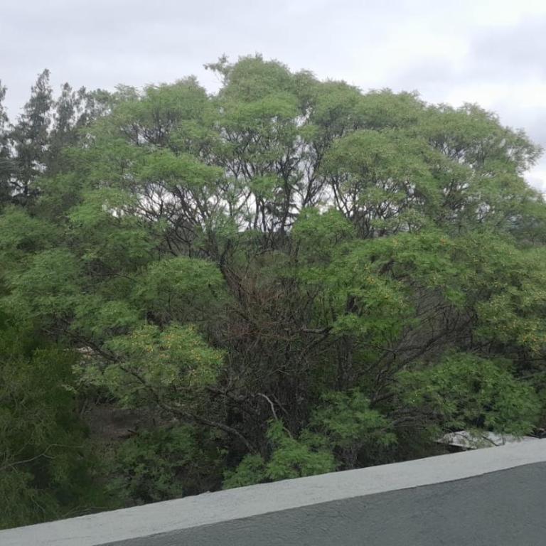 Departamento en villa del lago- Carlos Paz - Apartamento de 2 dormitorios - 17