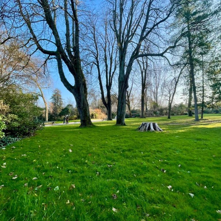 Parc Montsouris Paris - Appartement 1 Chambre - 13
