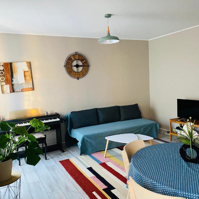 Nice appartement close to CHU - Appartement 1 Chambre - 6