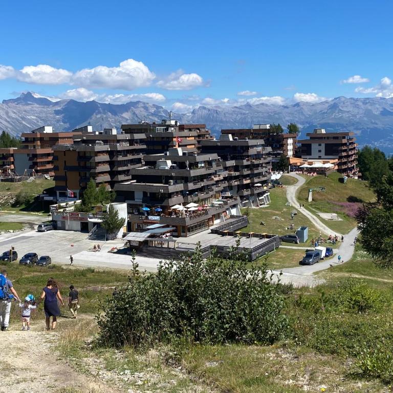 La Pourvoirie - 4 Vallées - Thyon-Les Collons, 10 pers, ski à 200 m, 4 parkings, vue fantastique ! - Superior Chalet - 53