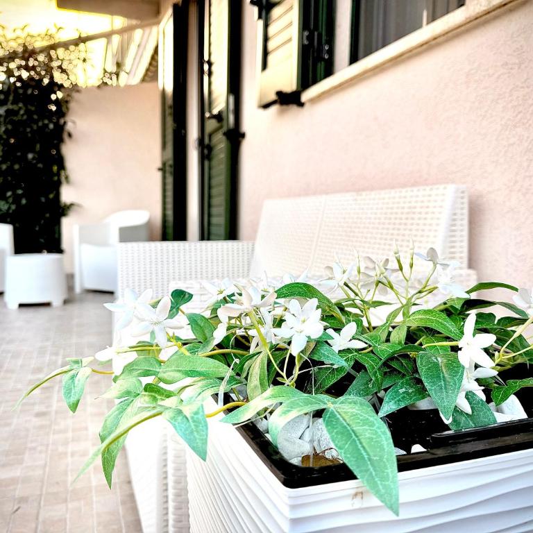 Pine Beach House - Villaggio Turistico con Piscina e Animazione - Maison de Vacances - 22