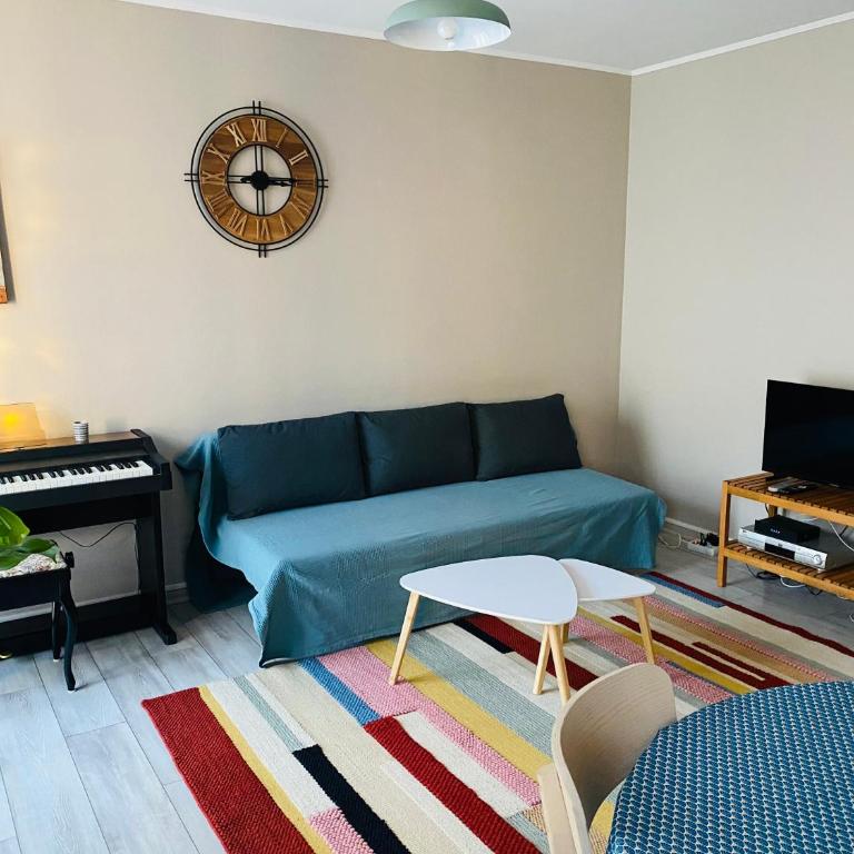 Nice appartement close to CHU - Appartement 1 Chambre - 9
