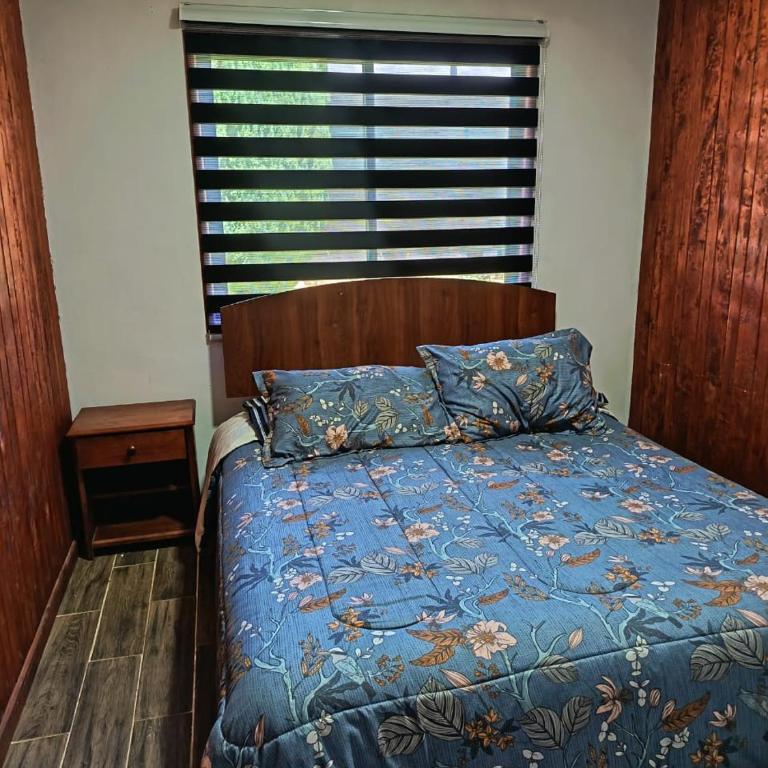 Pucón casa con piscina 6 personas - Three-Bedroom Vacation Home - 14