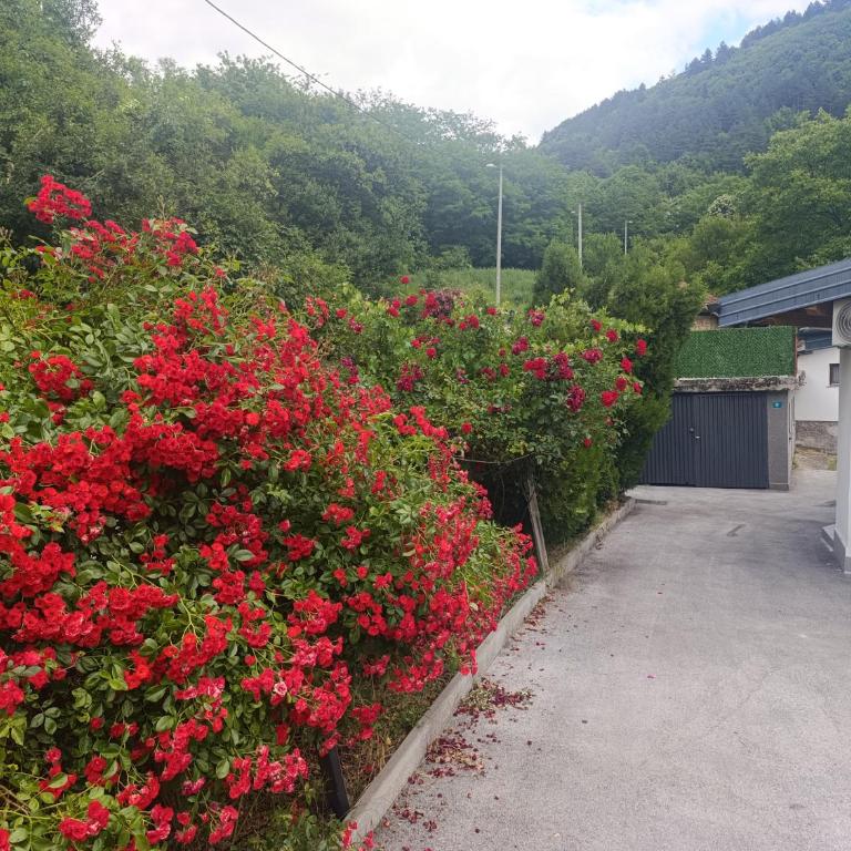 Sarajevo Hills-POOL&JACUZZI private garden Home-Near Old Town - One-Bedroom Apartment - 21