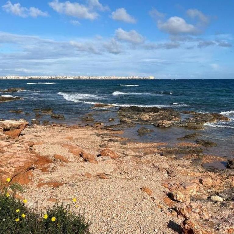 Mar y Sol Punta Prima - Apartamento de 1 dormitorio - 38