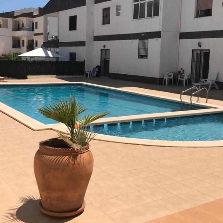 Mar y Sol Punta Prima - Apartamento de 1 dormitorio - 36