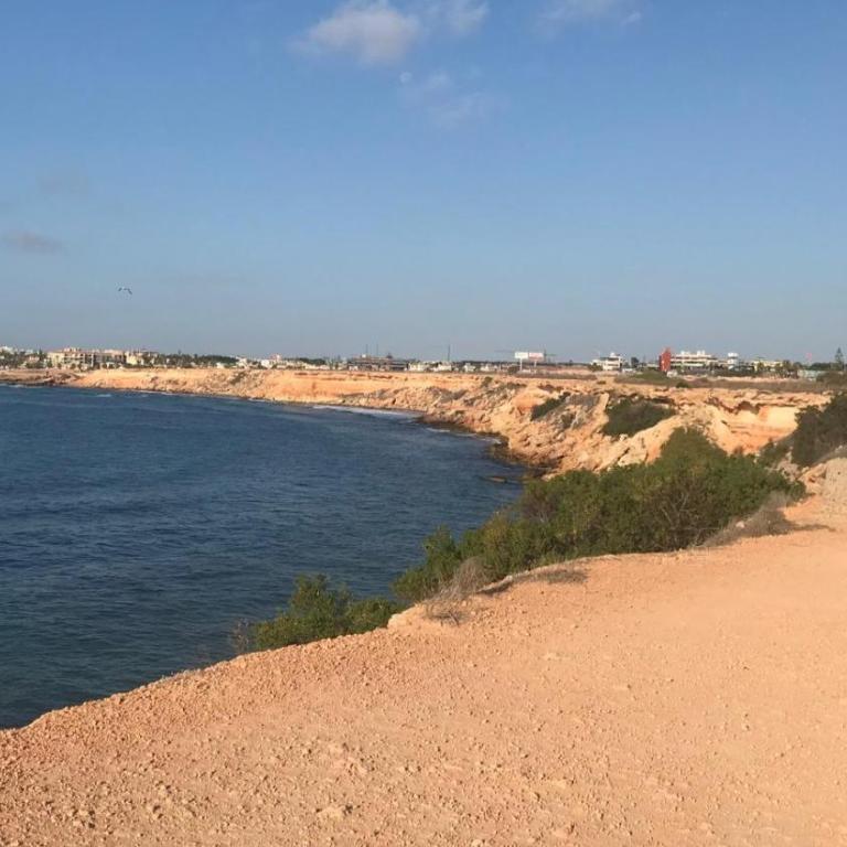 Mar y Sol Punta Prima - Apartamento de 1 dormitorio - 39