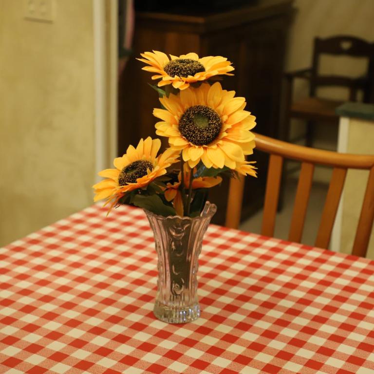 Casa con Giardino a Roma, 2 Camere, Ideale per Famiglie, 15 minuti dal Colosseo, 5 minuti da Mirti - Appartement 2 Chambres - 10