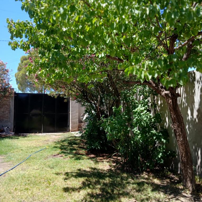 Departamento en Cinco Saltos - One-Bedroom Apartment - 4
