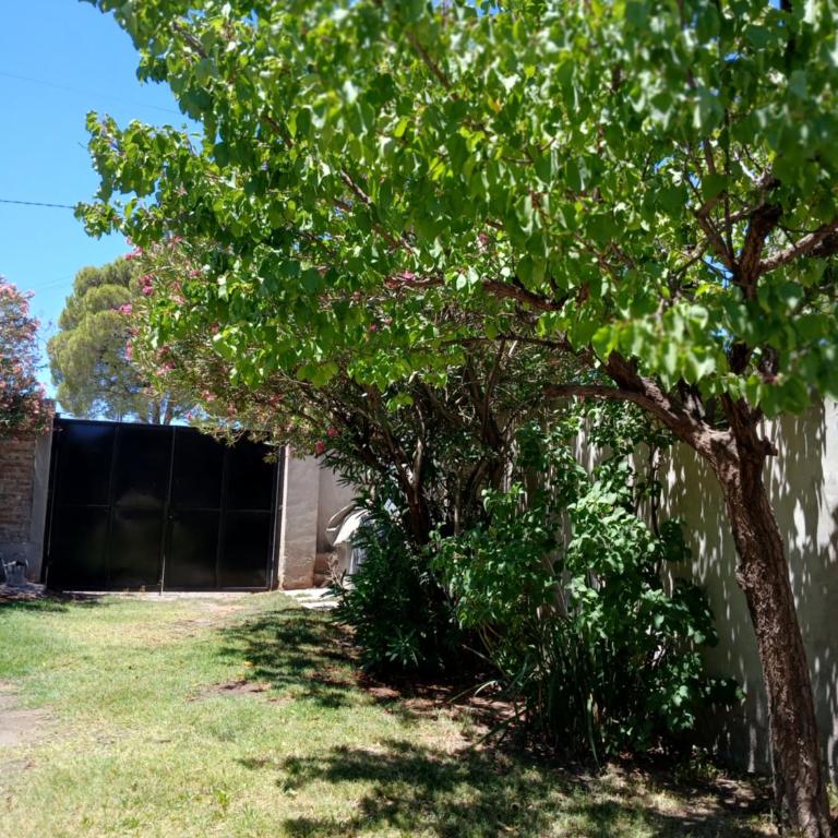 Departamento en Cinco Saltos - One-Bedroom Apartment - 6
