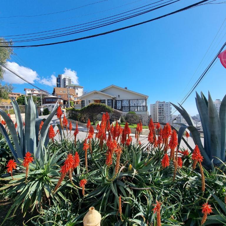 El Chalet del Gato, apartamento 1 - One-Bedroom House - 1