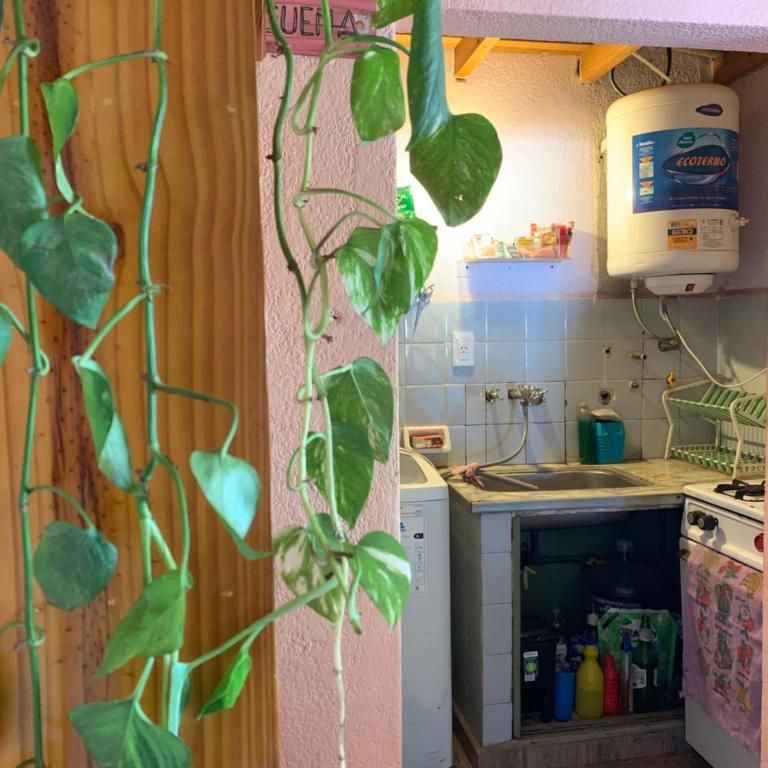 Departamento en Alquiler temporario Villa Gesell - One-Bedroom Apartment - 3