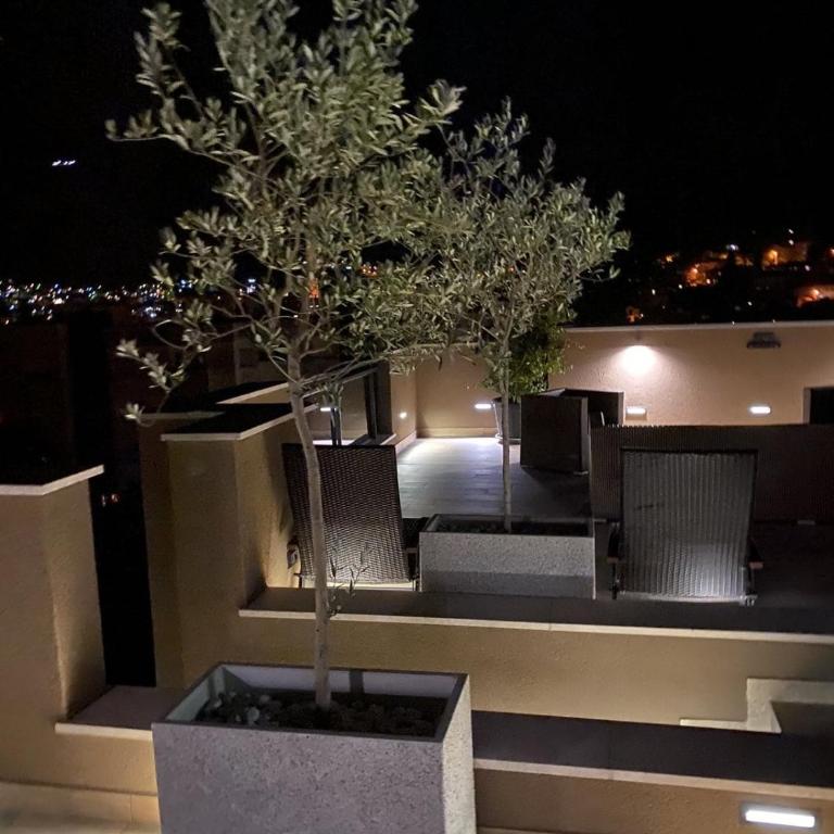 La Catedral - One-Bedroom Apartment - 2
