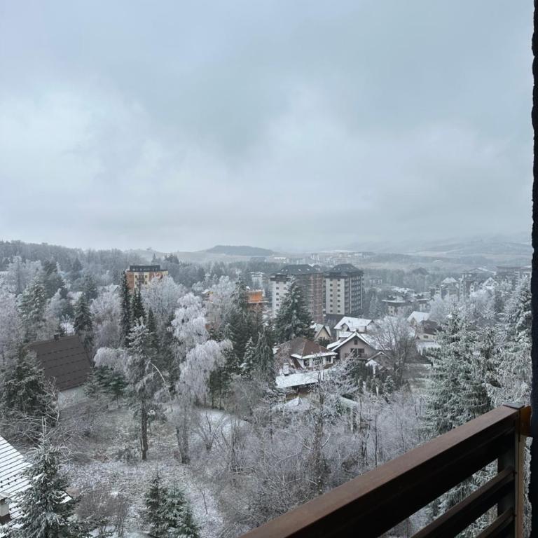 Apartman BEAR Zlatibor - One-Bedroom Apartment - 12