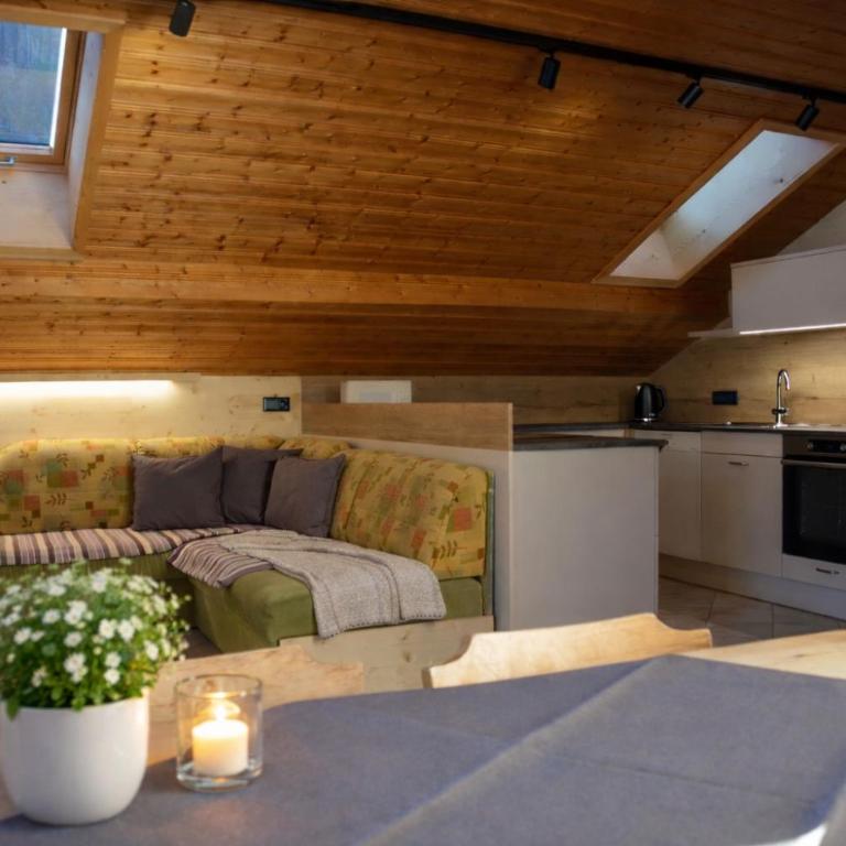 Bio-Bauernhof Vorderfromm - Two-Bedroom Apartment - 2