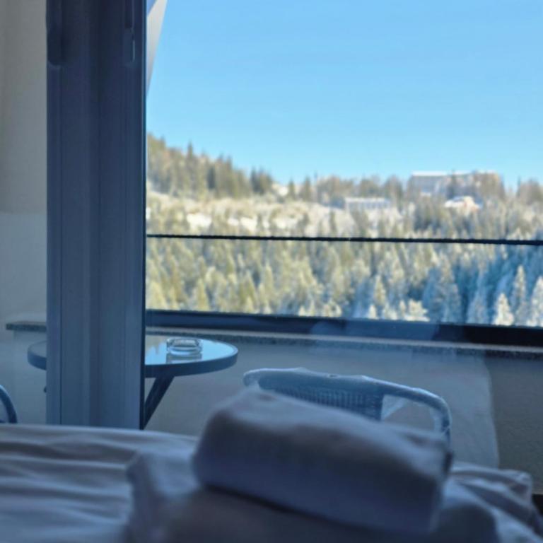 Privatni apartman A37 u sklopu hotela Vucko Jahorina - One-Bedroom Apartment - 2