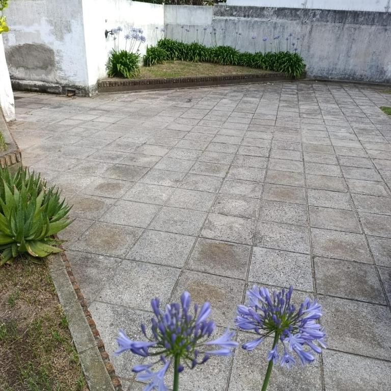 Meu Mar - Apartamento de 2 dormitorios - 1