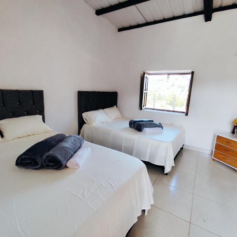 Finca Tasnia - Three-Bedroom House - 6