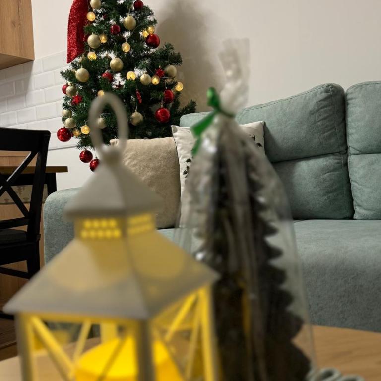 Apartman Vuk - Apartman sa 1 Spavaćom Sobom - 6