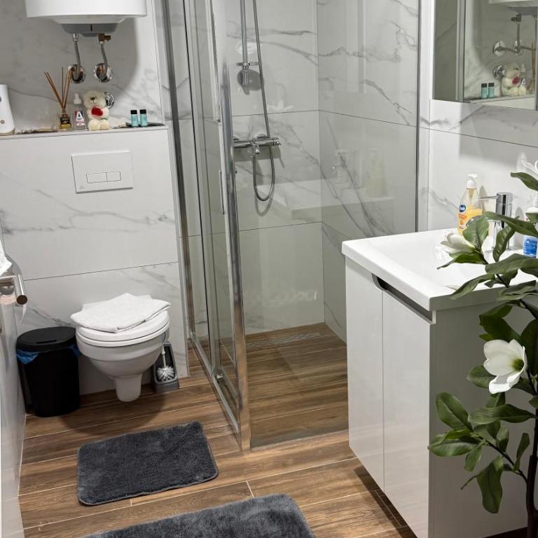 Apartman Vuk - Apartman sa 1 Spavaćom Sobom - 12