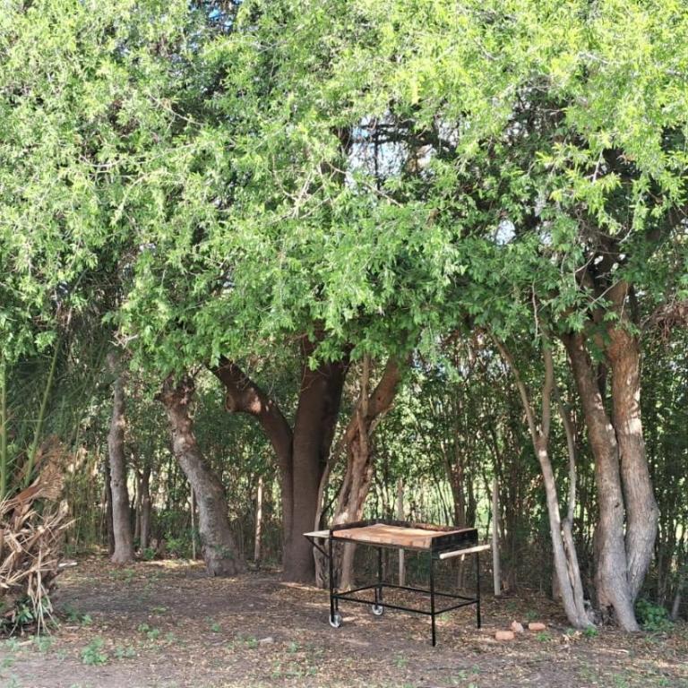 Lo de la Abu - Casa de 2 dormitorios - 9
