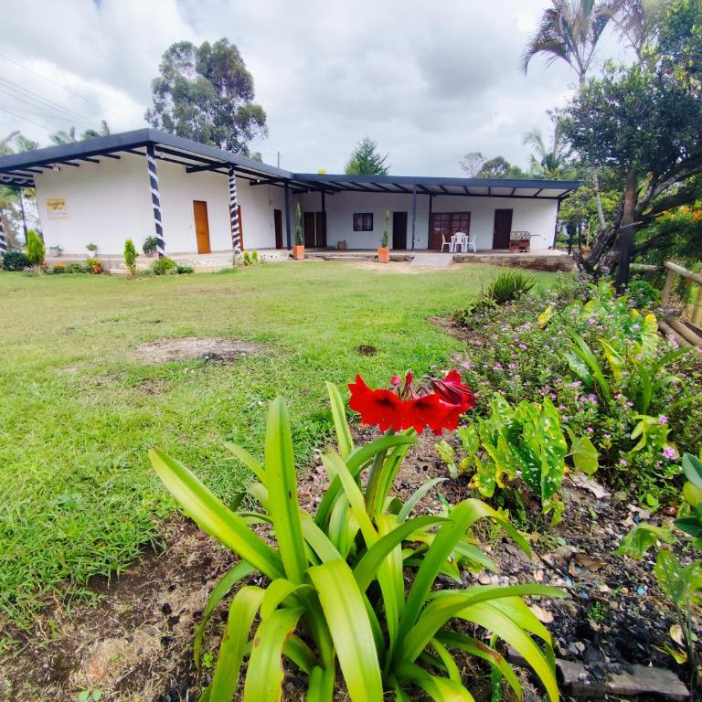 Finca Tasnia - Three-Bedroom House - 10