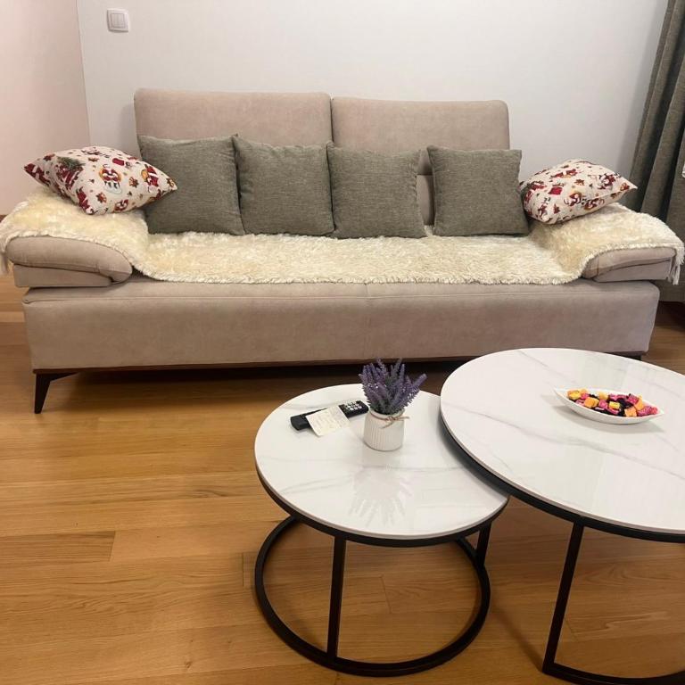 Taša 1 - Apartman sa 2 Spavaće Sobe - 3