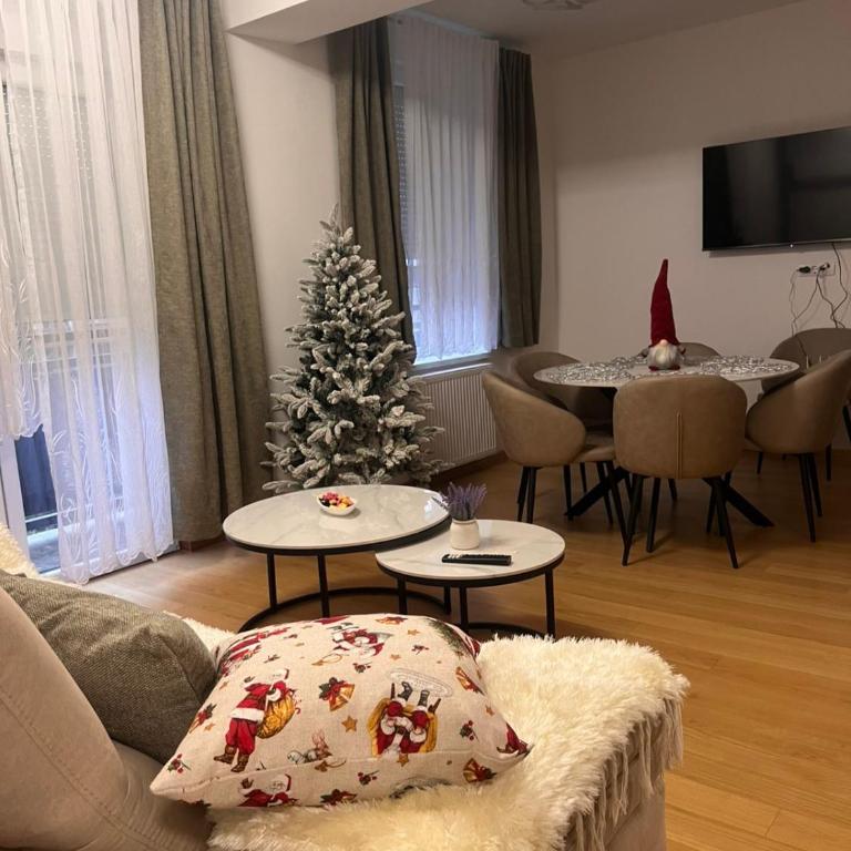 Taša 1 - Apartman sa 2 Spavaće Sobe - 2